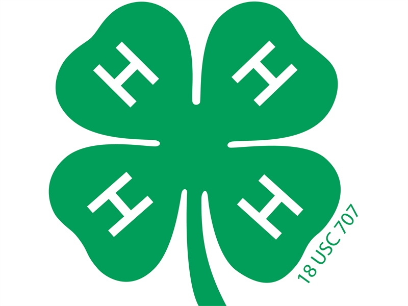 Logo for 2026 Adams County 4-H Fair