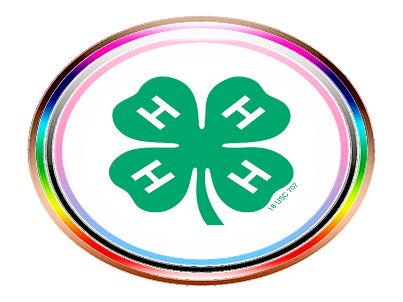 Logo for 2026 Lake County Fair