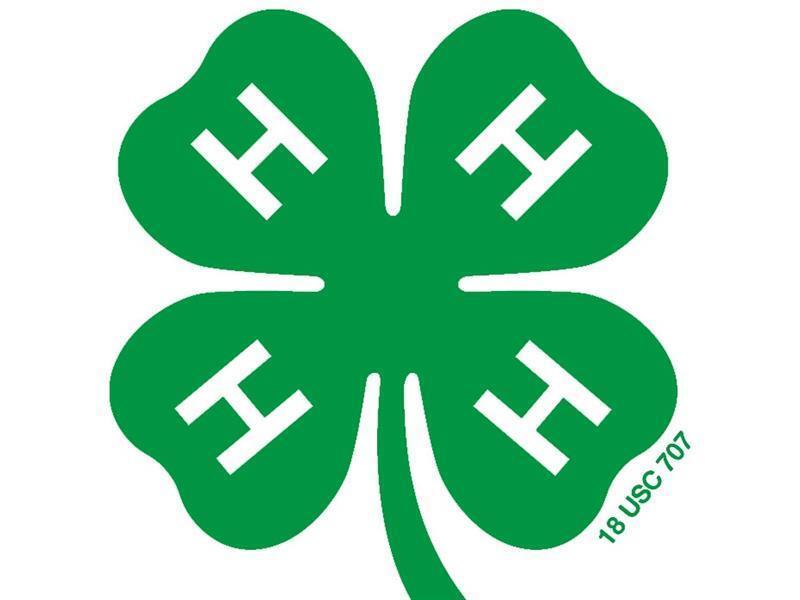 Logo for 2026 Montgomery County Fair