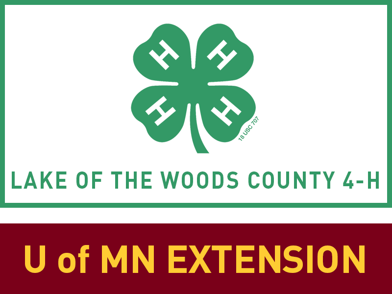 Logo for 2026 LOW County Fair