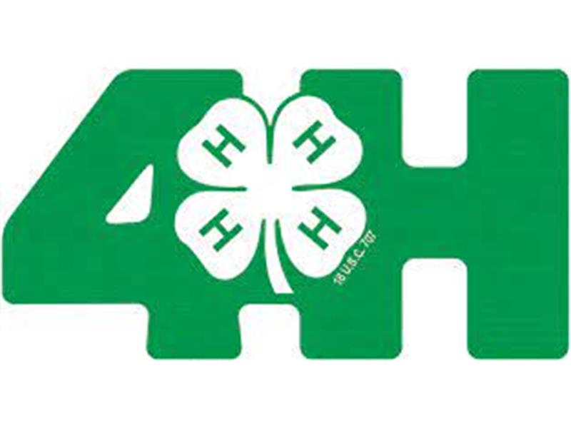 Logo for Dewey County Fair